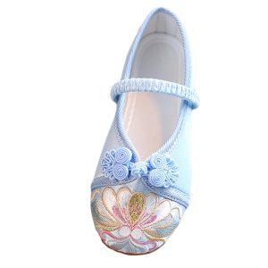 embroidered shoes